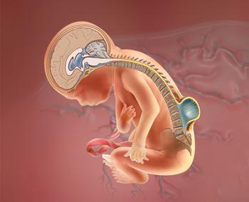 欧博ABG游戏(中国集团)唯一官方网站