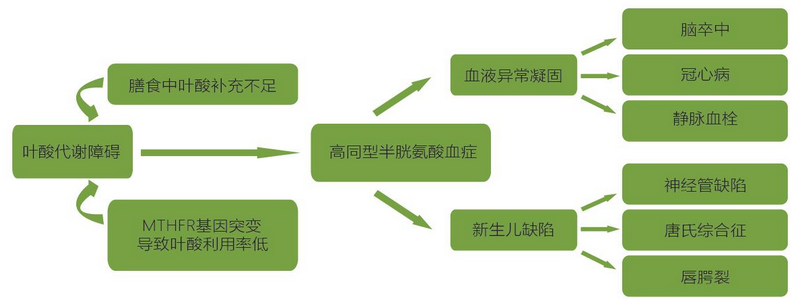 欧博ABG游戏(中国集团)唯一官方网站