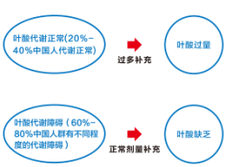 欧博ABG游戏(中国集团)唯一官方网站