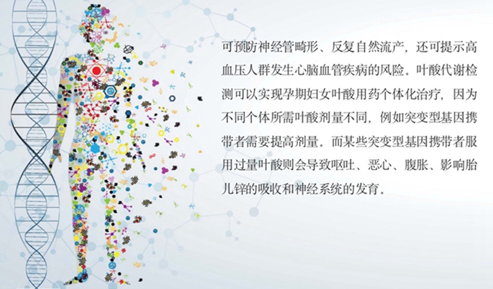 欧博ABG游戏(中国集团)唯一官方网站