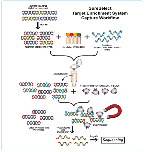欧博ABG游戏(中国集团)唯一官方网站