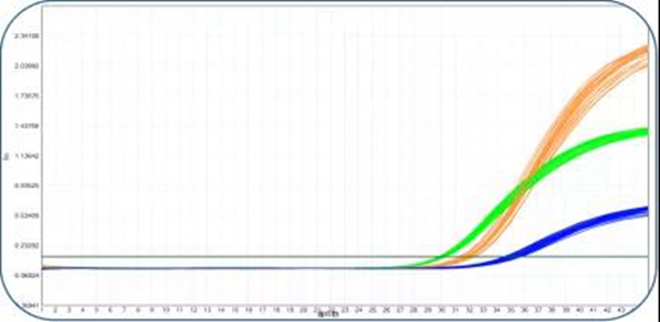 欧博ABG游戏(中国集团)唯一官方网站