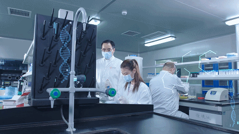 欧博ABG游戏(中国集团)唯一官方网站