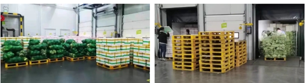 欧博ABG游戏(中国集团)唯一官方网站